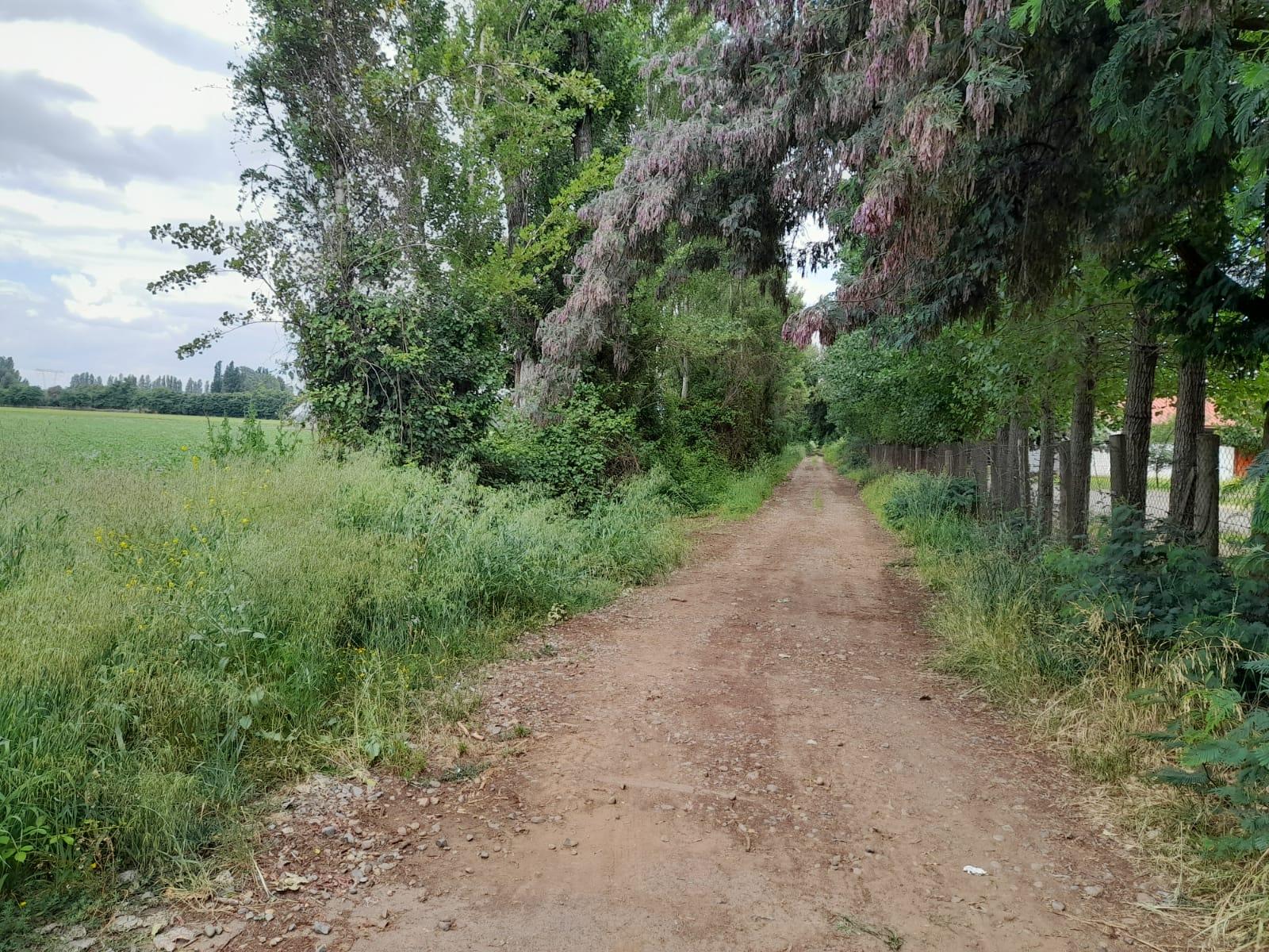 3,1 hectáreas a la venta en Villa Rosa