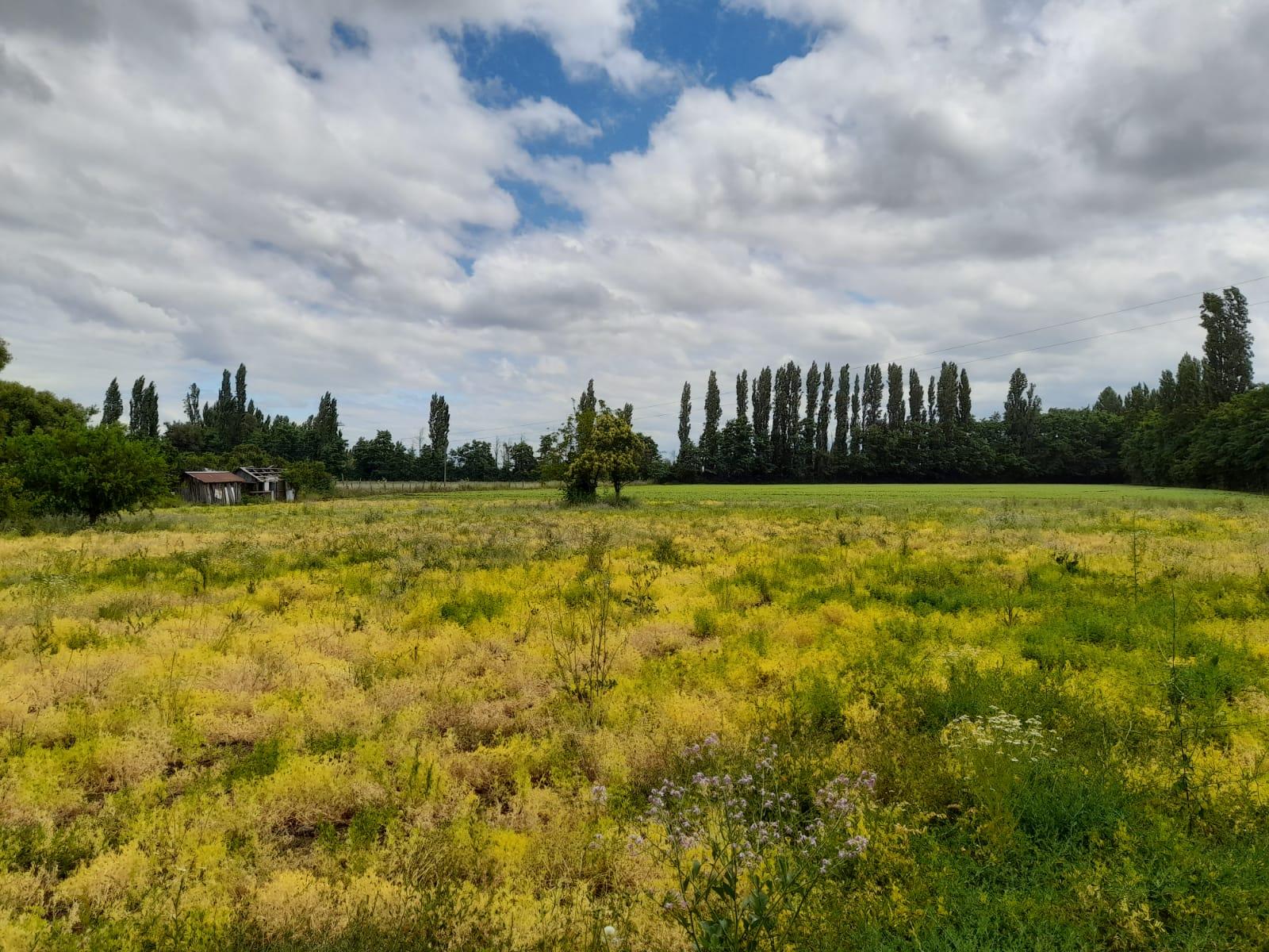 3,1 hectáreas a la venta en Villa Rosa