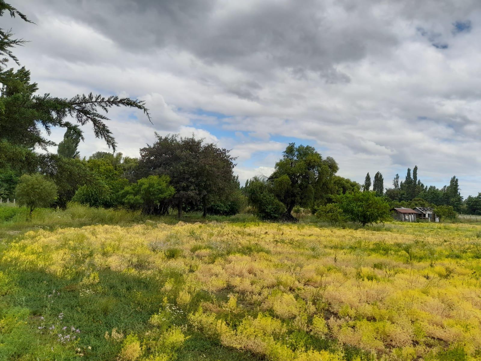 3,1 hectáreas a la venta en Villa Rosa