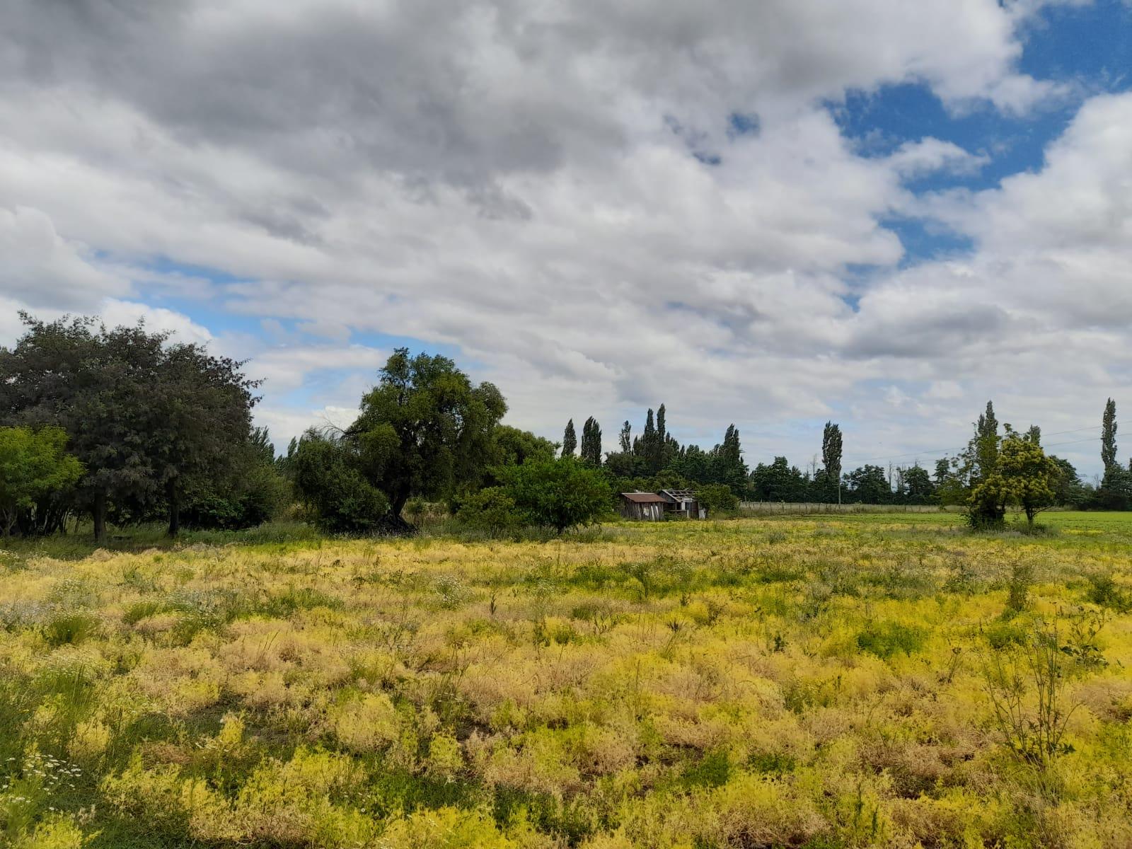 3,1 hectáreas a la venta en Villa Rosa