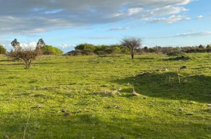 Venta de parcela en Parral